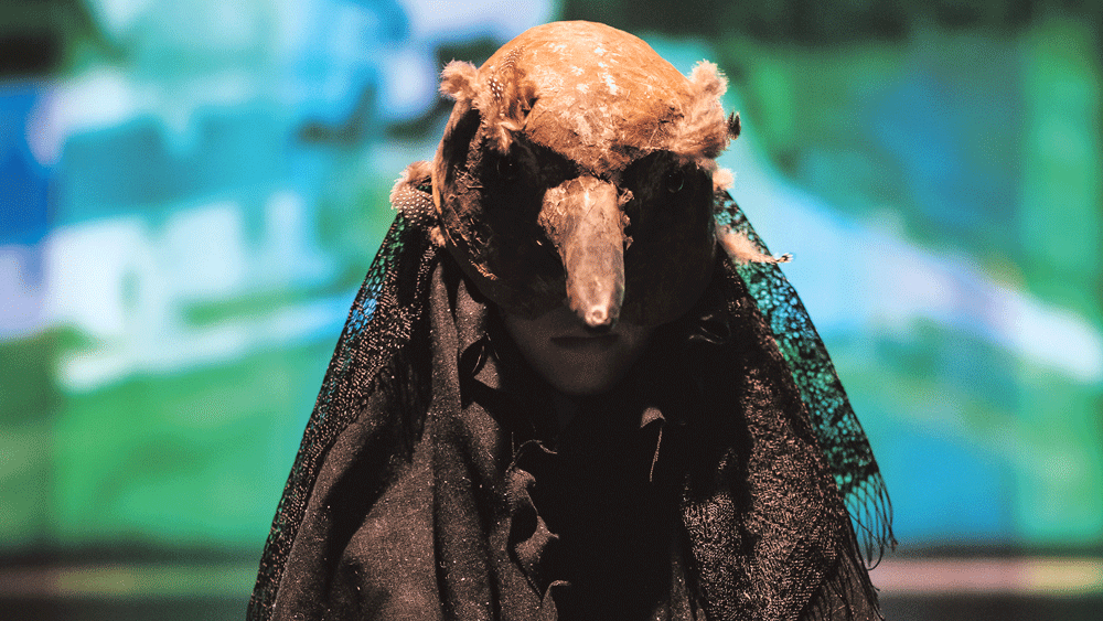 ‘The King of All Birds’ a gig for voice and vocoder