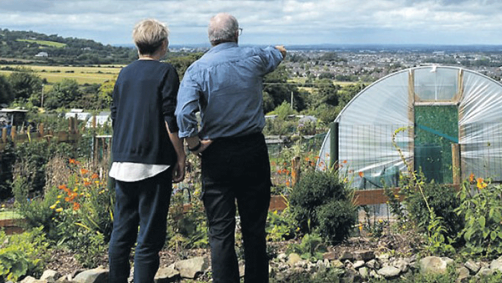 Calls made for more allotments