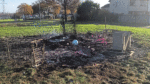 €165,000 spent by local authority to clean up mess after 157 bonfires