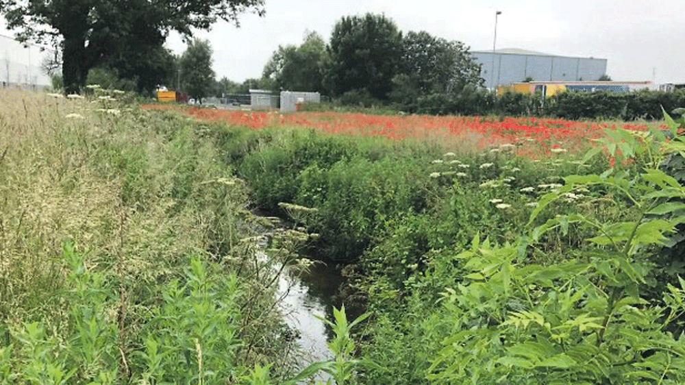 Flood risk assessment schemes to be considered