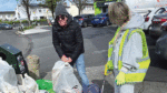 Clean-up in the Springfield estate was a ‘roaring success’