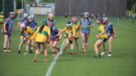 Féile delight
