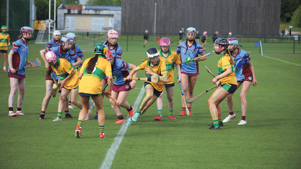 Féile delight