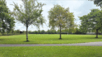 Local Priorities €1 million fund underused for early part of year