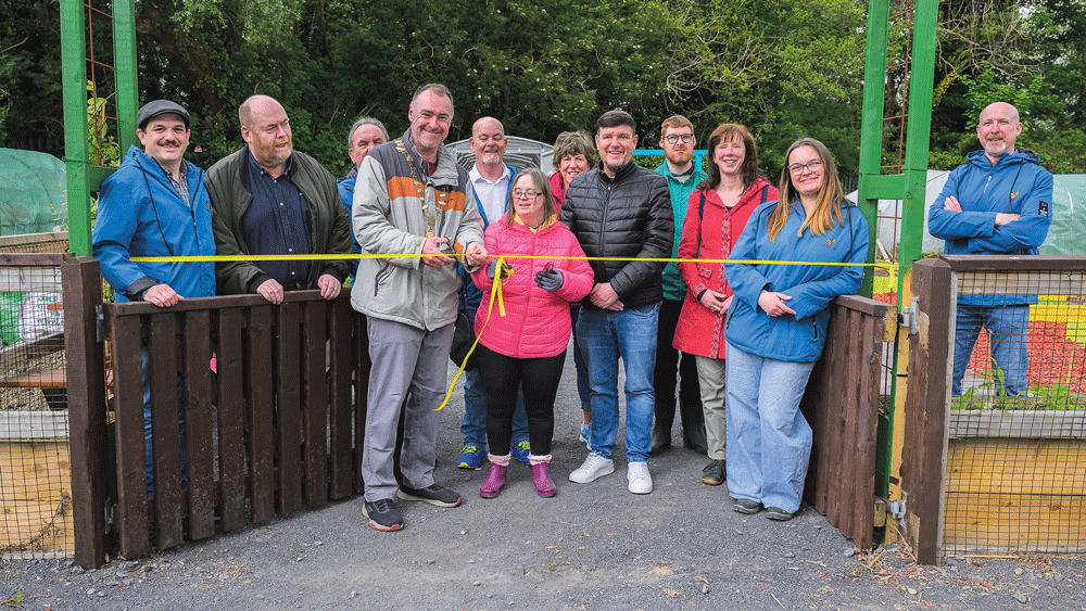 Neglected allotment turned into a community garden Neglected allotment turned into a community garden