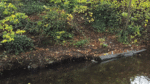 Flood alleviation scheme to be fully commissioned by middle of next year