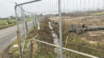 Focus on developers to protect and retain hedgerows and trees