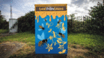 Artists invited to take part in Dublin Canvas Project