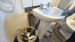 Measures implemented to solve damp issues in council properties