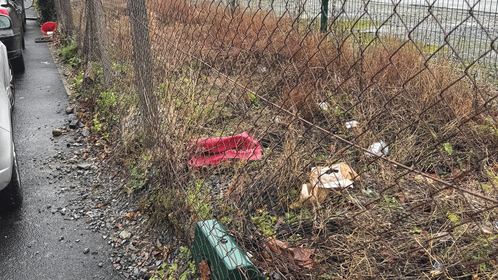 Tallaght ‘moderately littered’ according to IBAL report Tallaght ‘moderately littered’ according to IBAL report