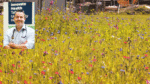 TUH Talks: Allergy triggers beyond hay fever