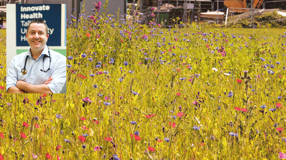 TUH Talks: Allergy triggers beyond hay fever TUH Talks: Allergy triggers beyond hay fever