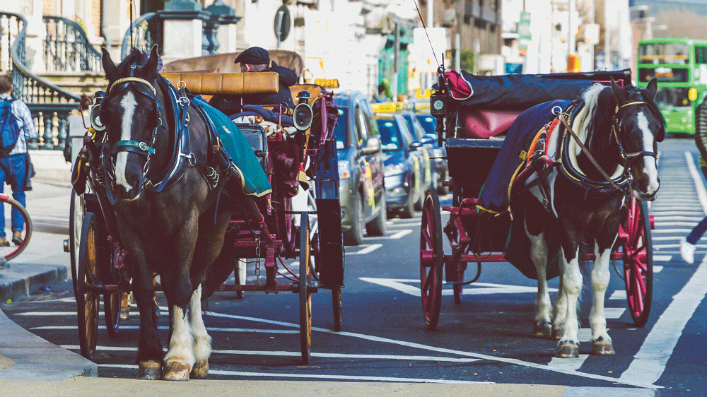 Moves to change outdated laws about horse carriages on streets Moves to change outdated laws about horse carriages on streets