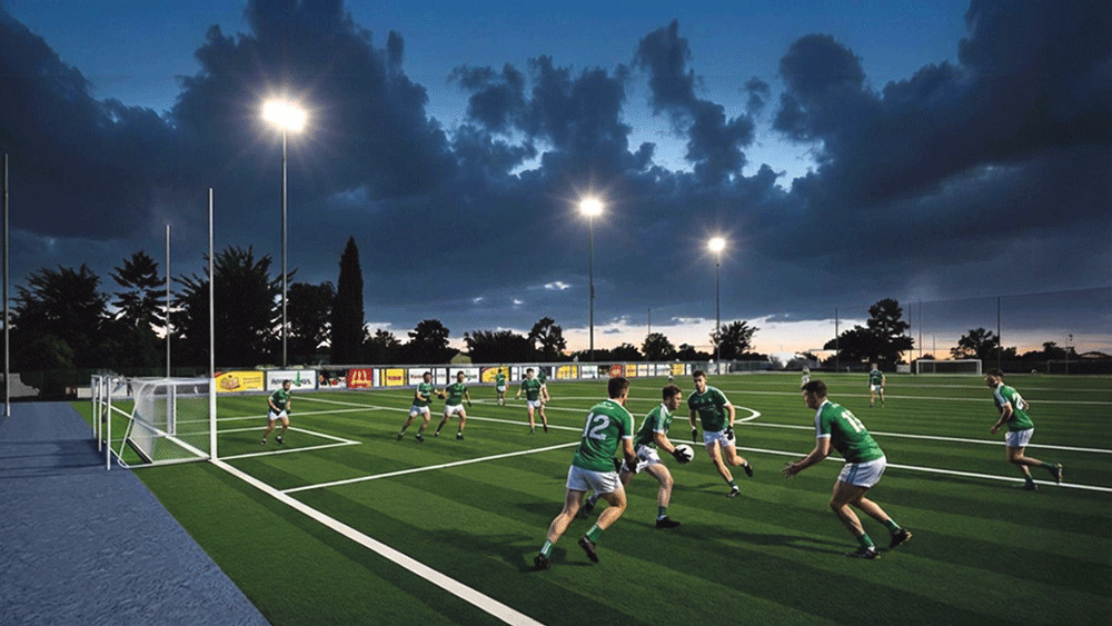 Thomas Davis GAA €2m vision plan Thomas Davis GAA €2m vision plan