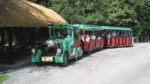 Lullymore – a hidden gem for family fun for all ages