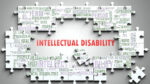Five-year wait to house those with an intellectual disability