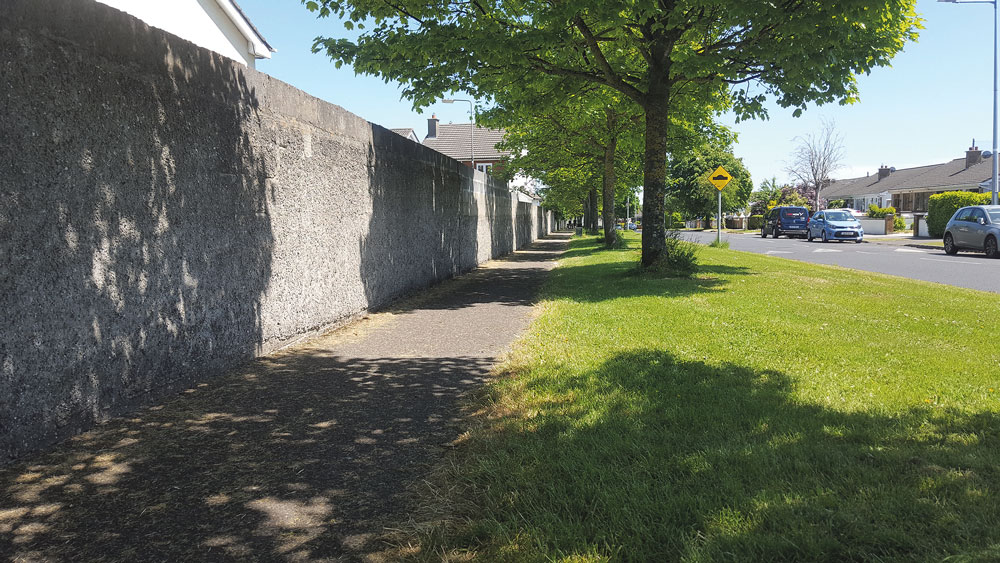 Nature on our doorsteps: Trees, helping to keep us cool . . . Nature on our doorsteps: Trees, helping to keep us cool . . .