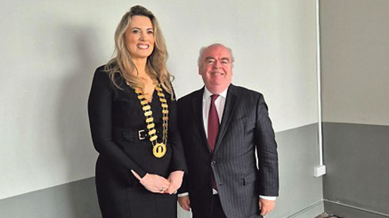 New South Dublin Chamber President understands the challenges she faces New South Dublin Chamber President understands the challenges she faces