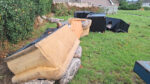 ‘A flurry of reports’ about illegal dumping
