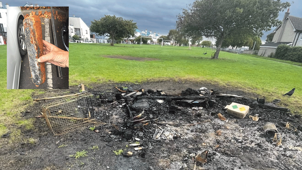 Calls to install CCTV cameras at green spaces