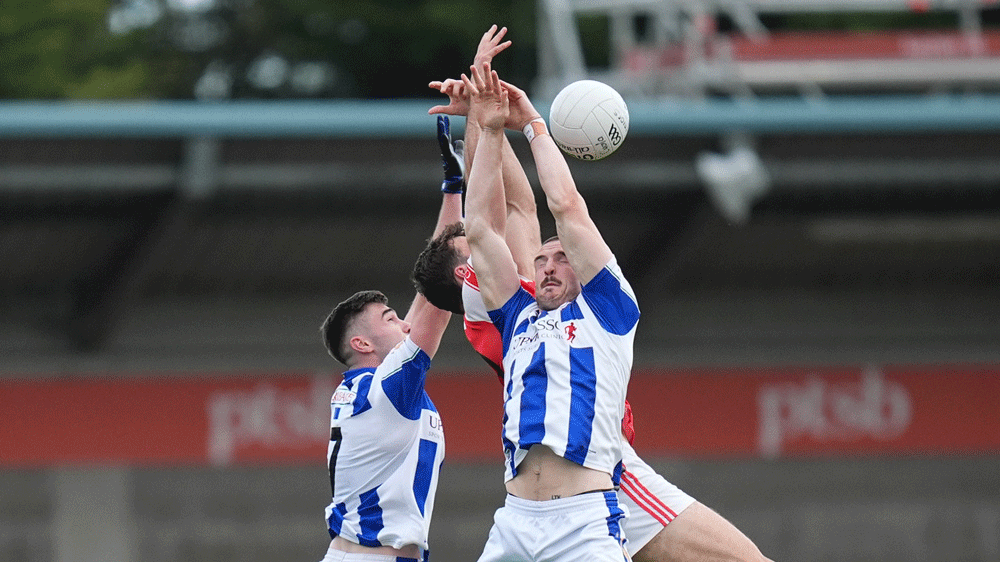 Ballyboden fall short against Cuala Ballyboden fall short against Cuala